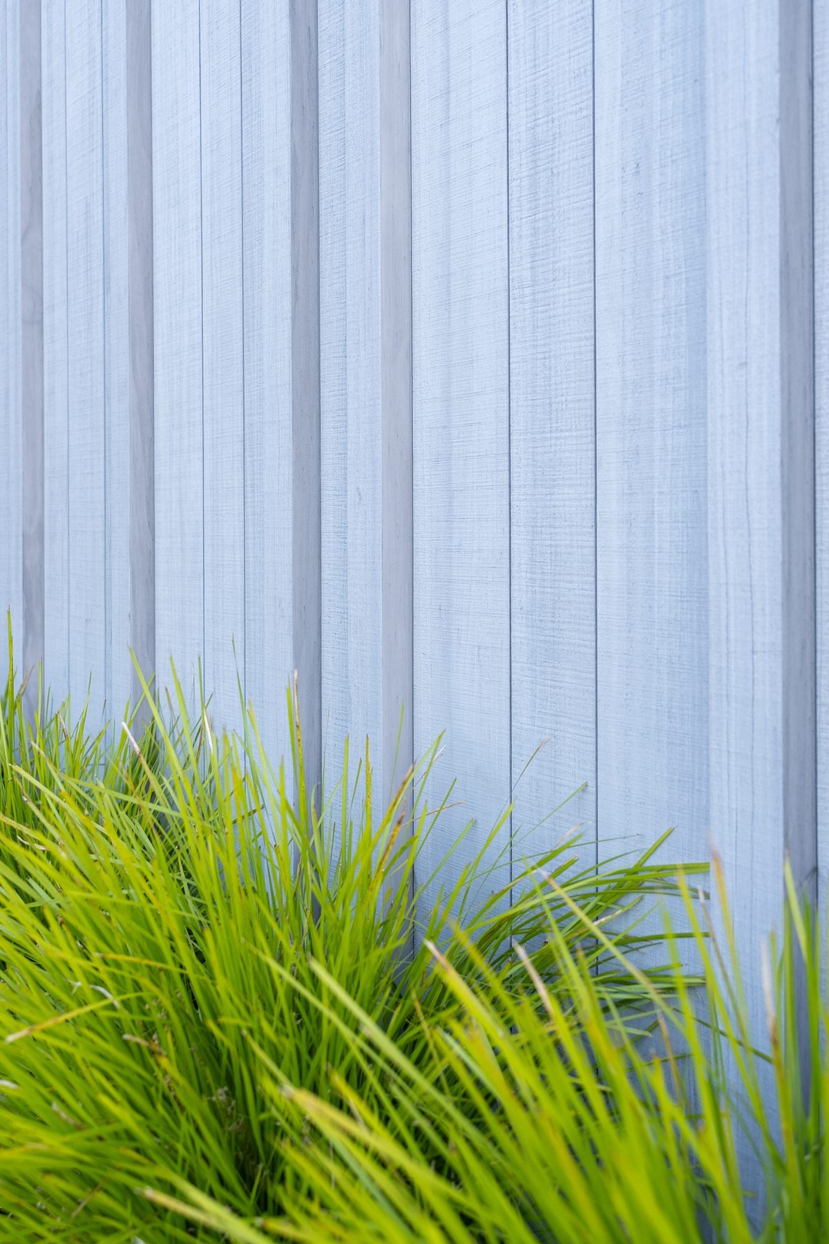 Vertical cladding and native grasses.