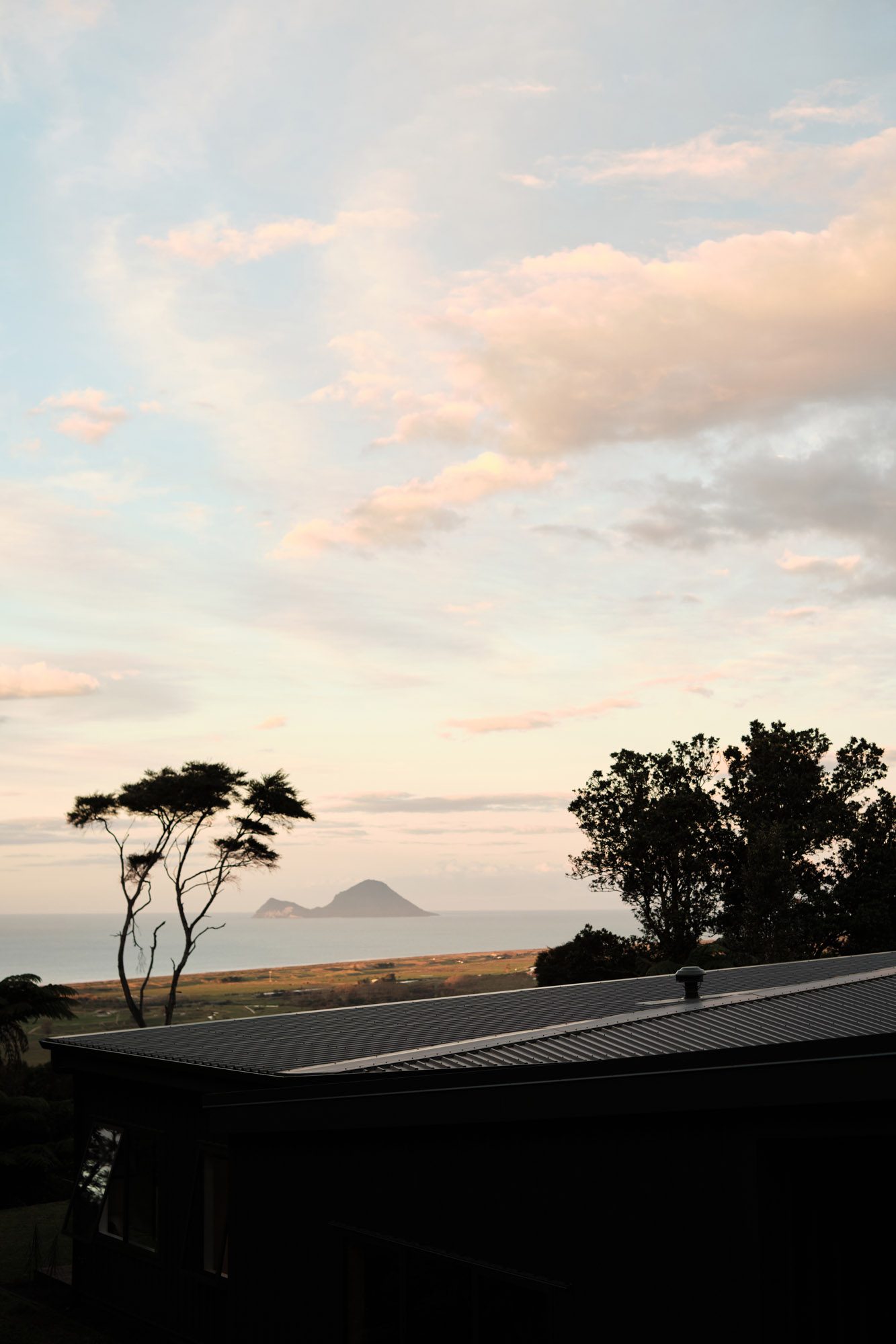 Sunset: Whale Island beyond and Manuka trees