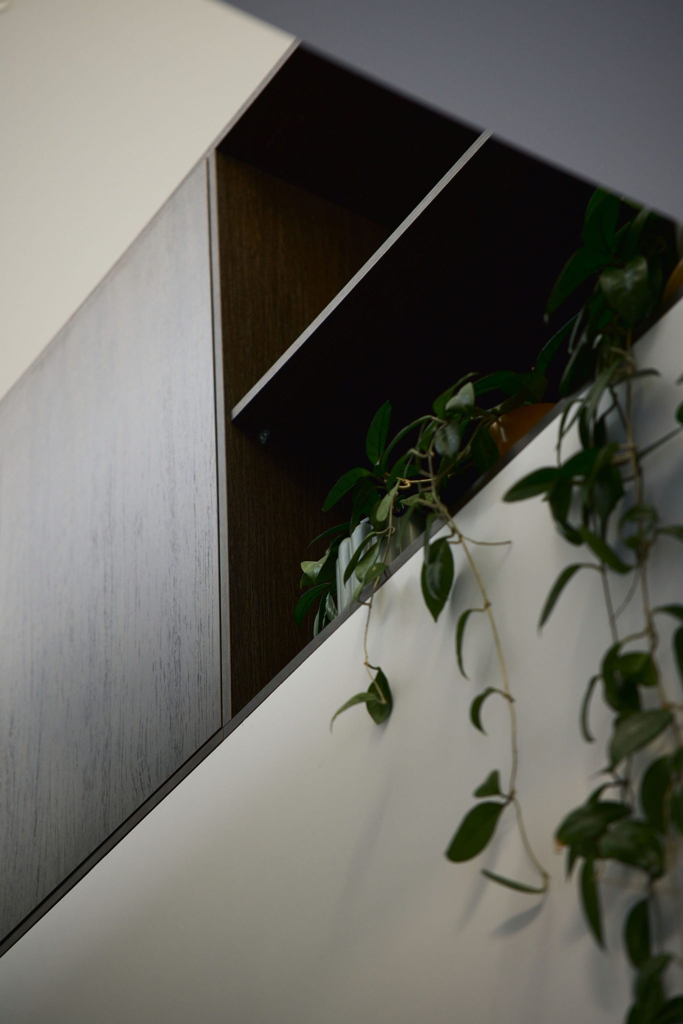Interior cabinetry above stairwell with hanging plant