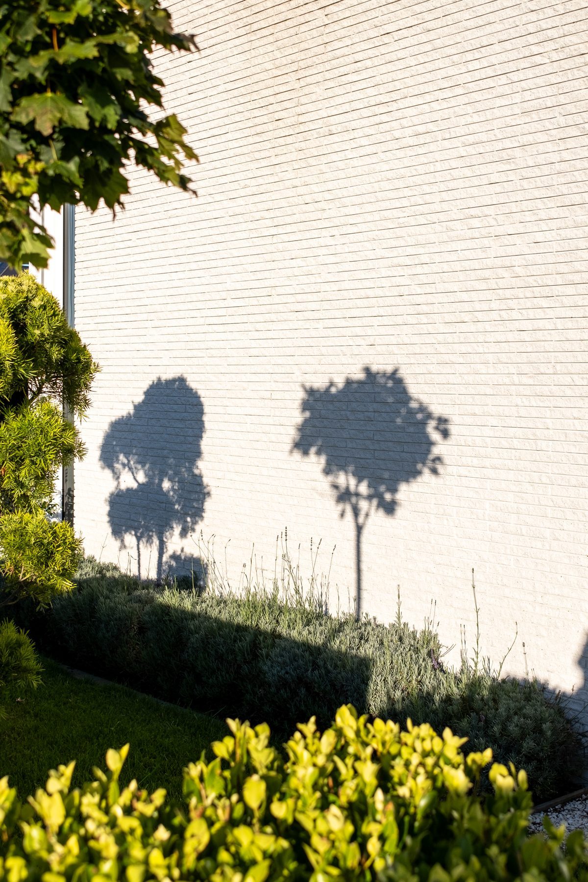 Landscaped approach and shadow play.