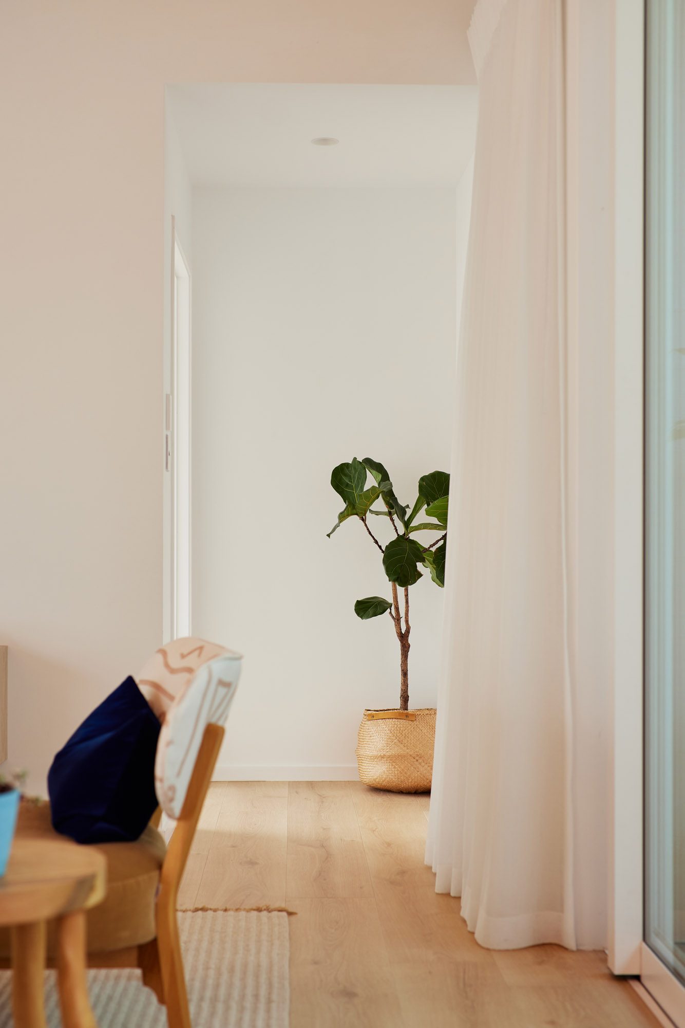 Timber flooring and linen curtains with interior plant beyond